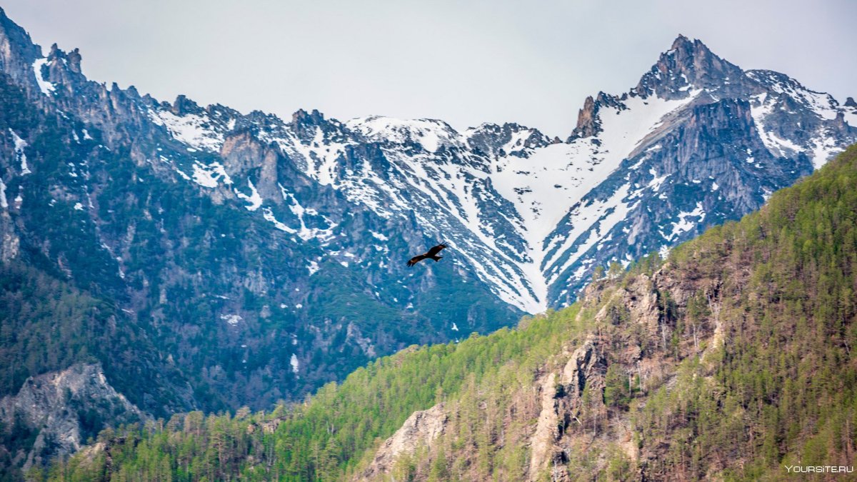 Курумкан Джергинский заповедник