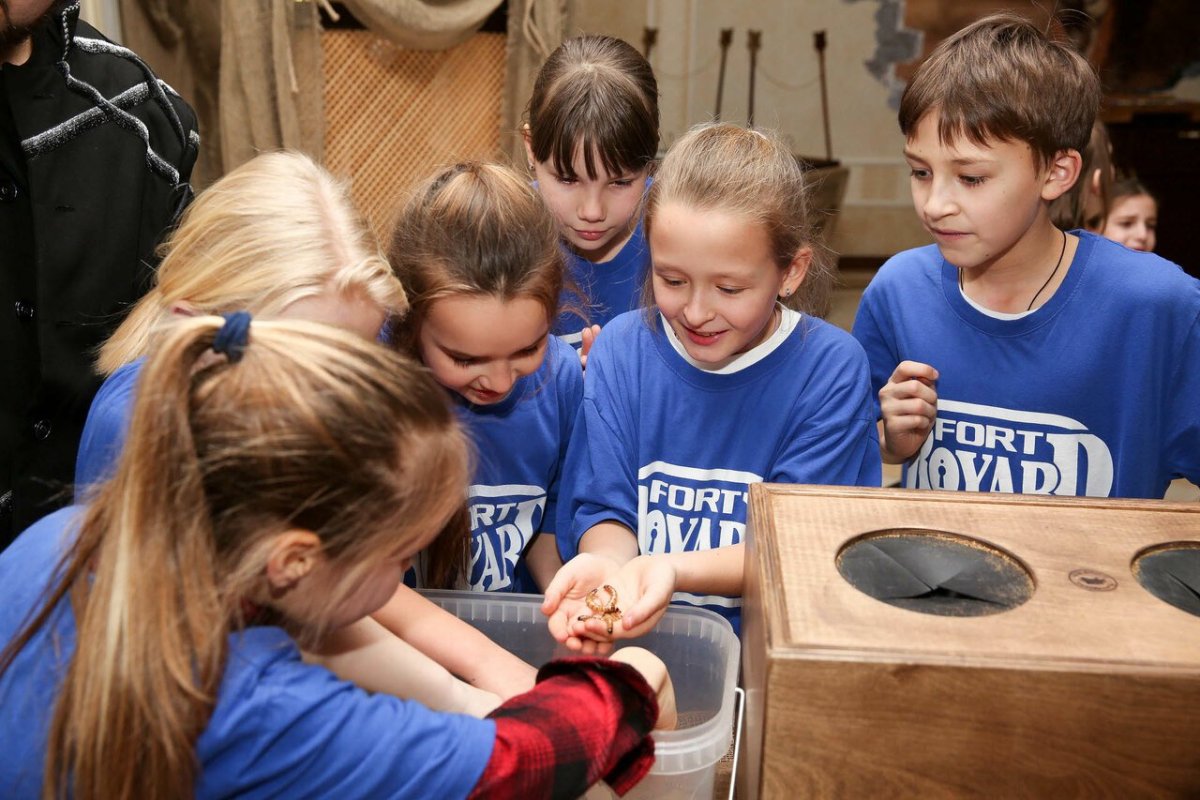 Форт Боярд Ultimate Challenge