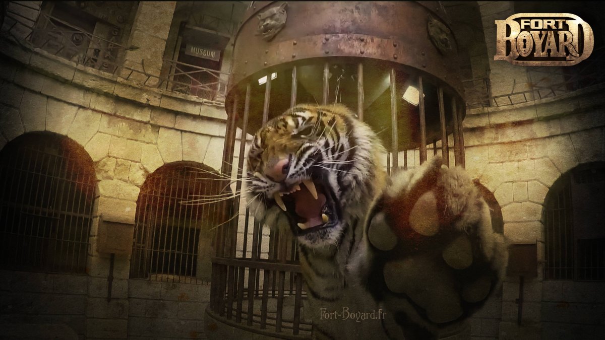 Форт Боярд 1994