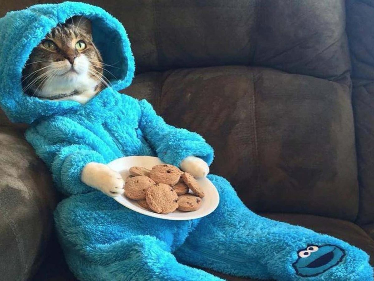 Поправляйся скорее любимый