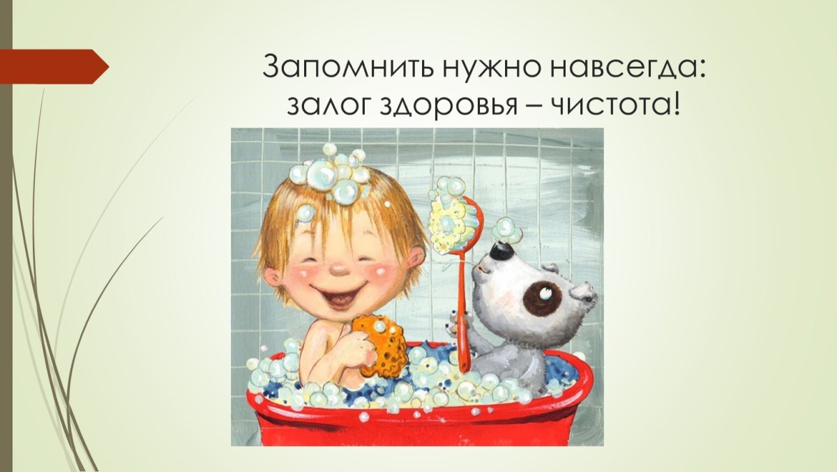 Чистота залог здоровья