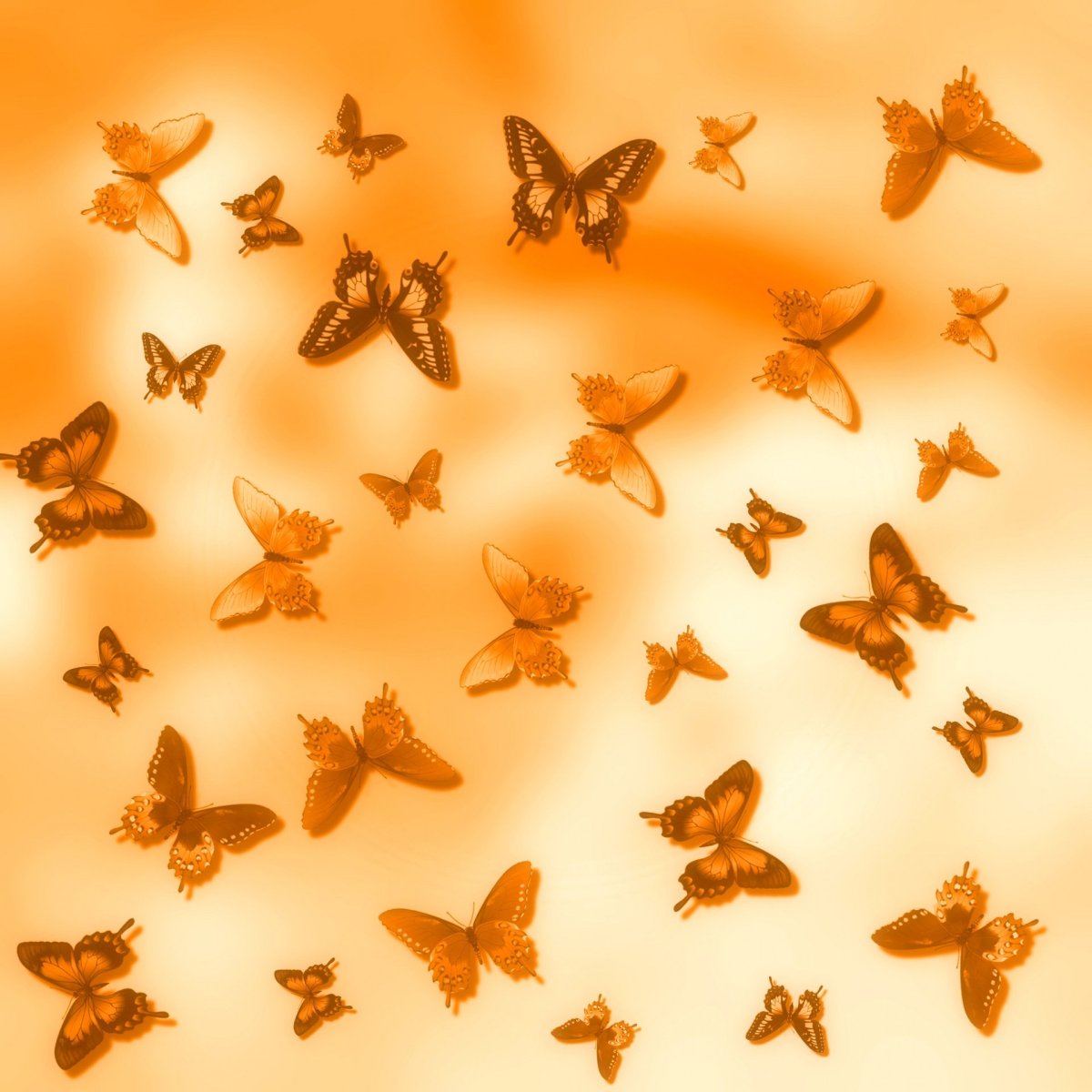 Розовые бабочки Эстетика