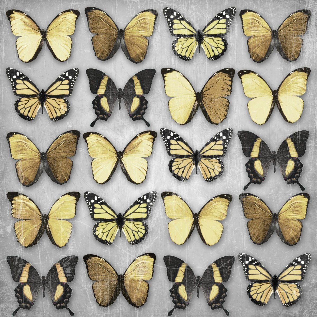 Бабочка на темном фоне