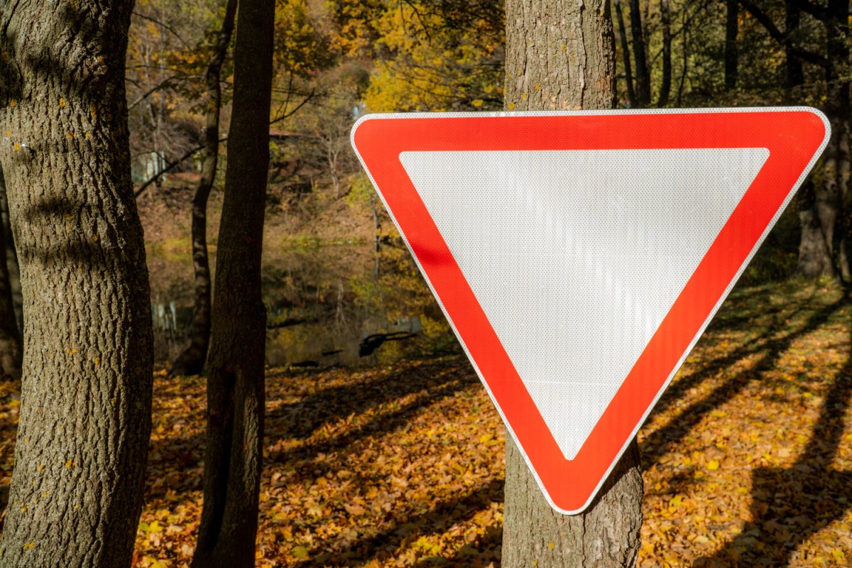 Данный дорожный знак: