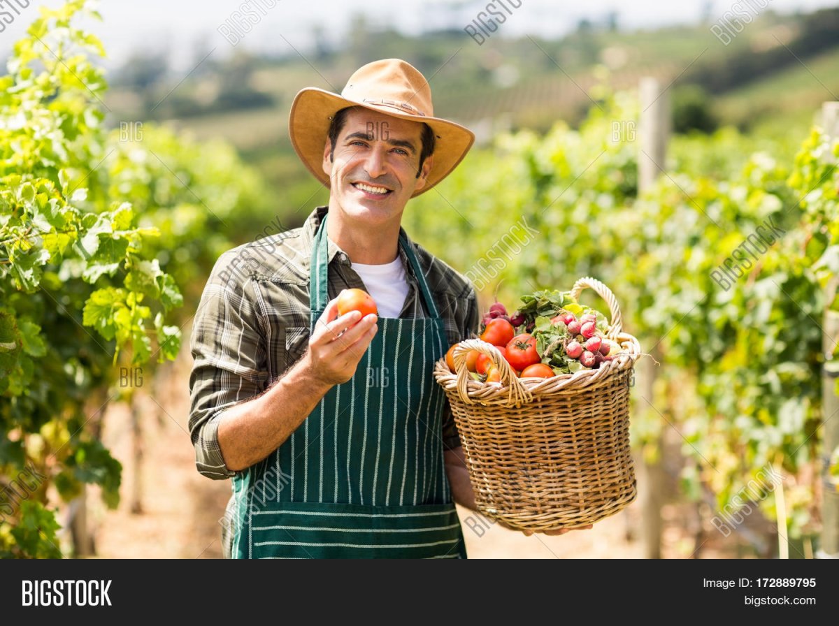 Фермер Джим