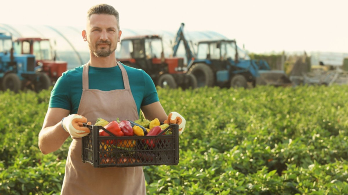 Фермерские продукты