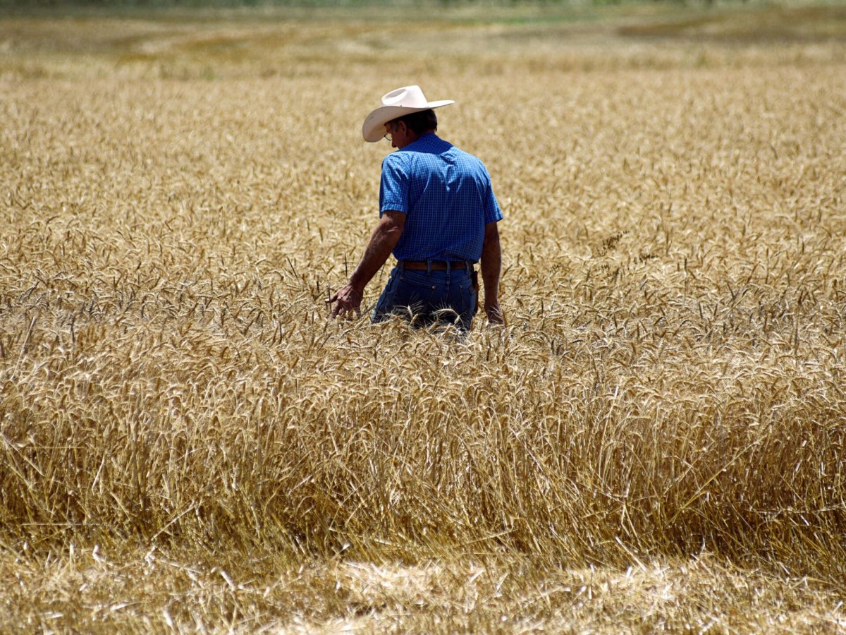 Деревенский парень