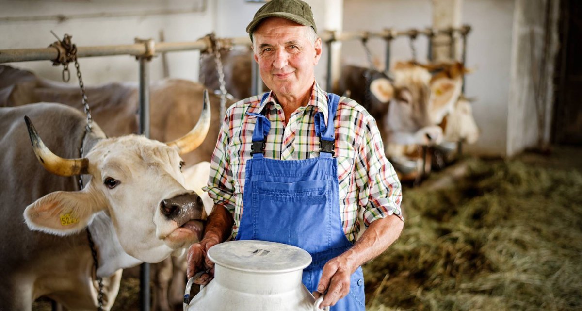 Белов Денис агрокультура