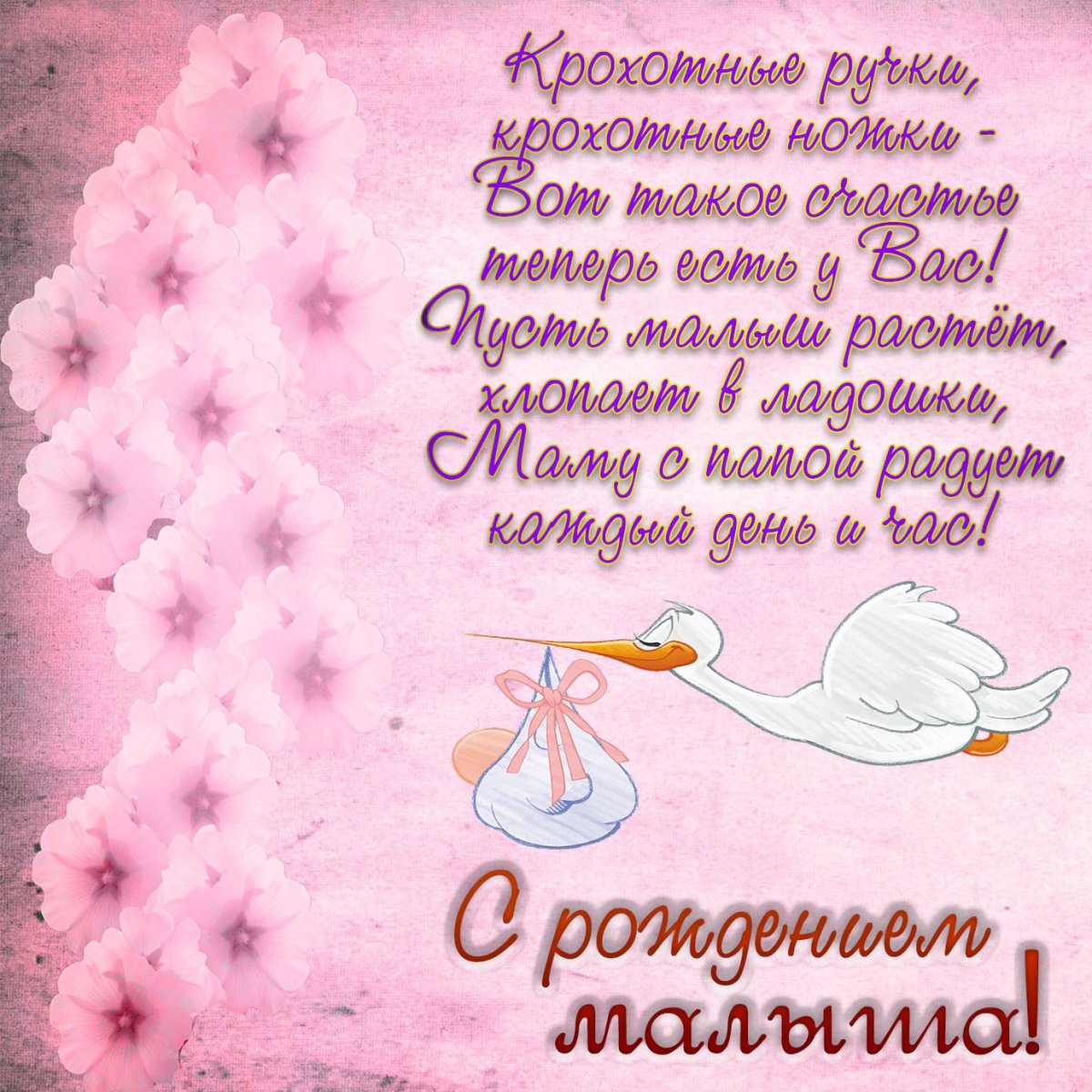 С рождением правнука