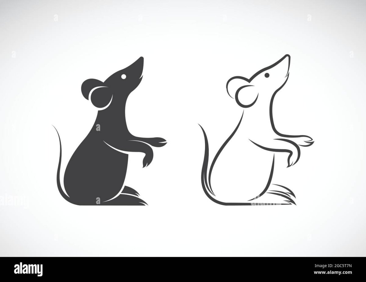 Графическое изображение мышки