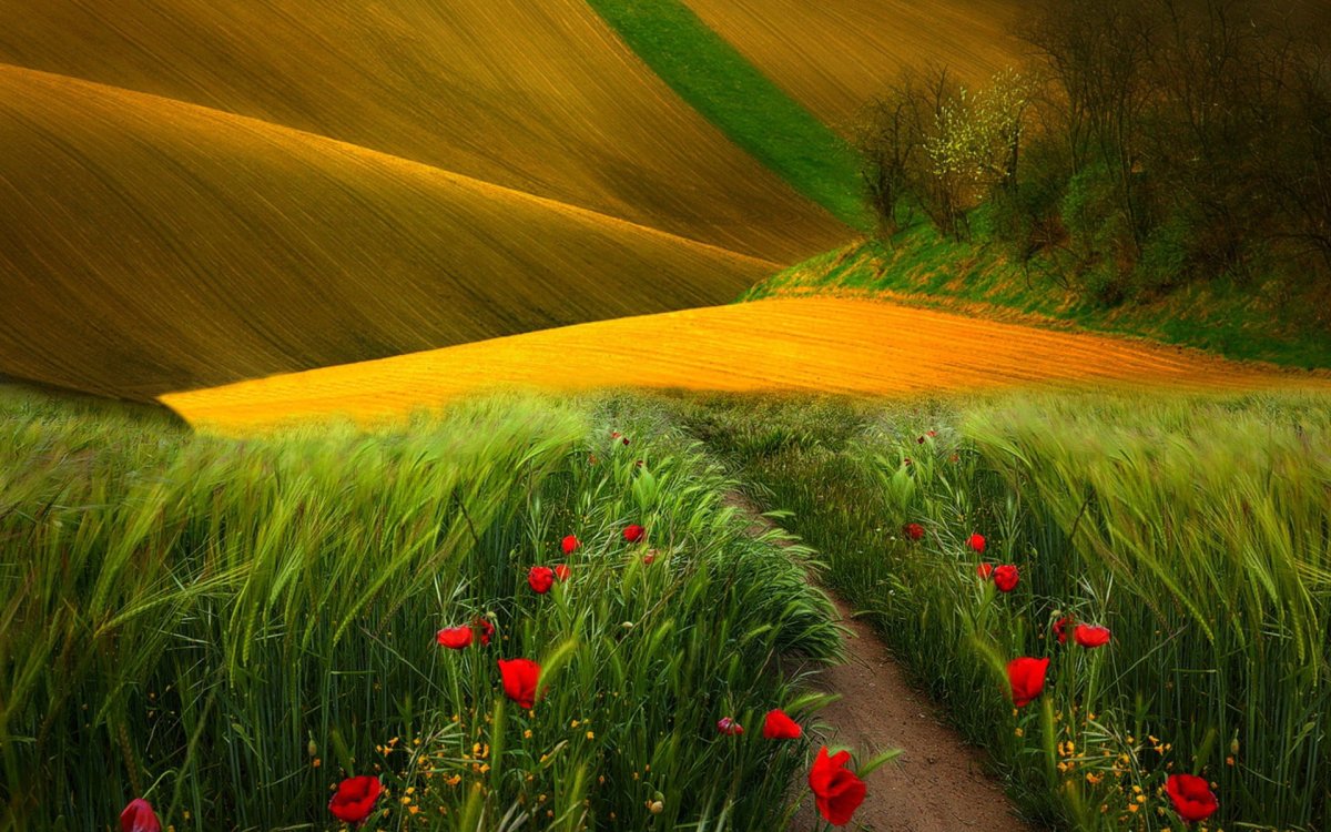 Красивая природа