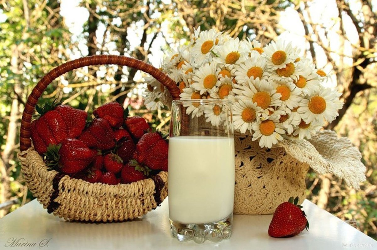 Доброе июньское летнее утро