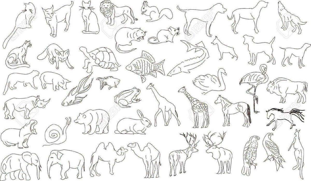 Дикие животные раскраска на одном листе