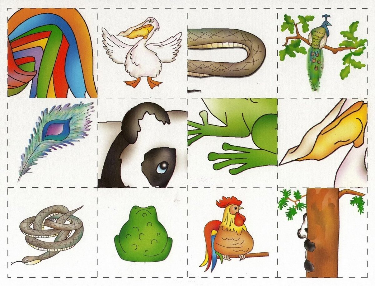 Игра лото Крылья лапы и хвосты