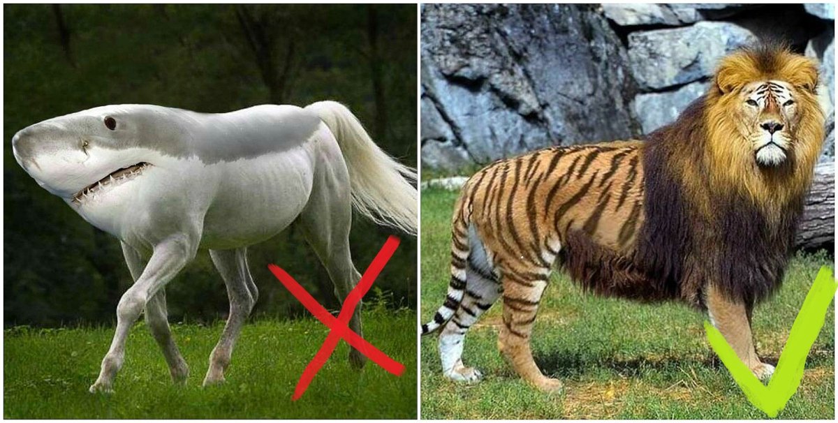 Гибриды животных реальные