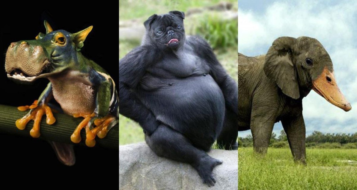 Гибриды животных в реальной жизни