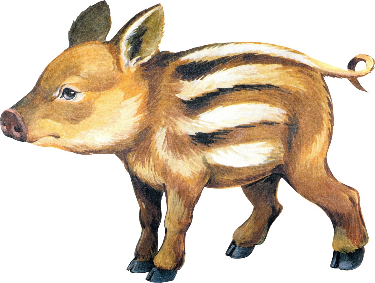 Лесные животные