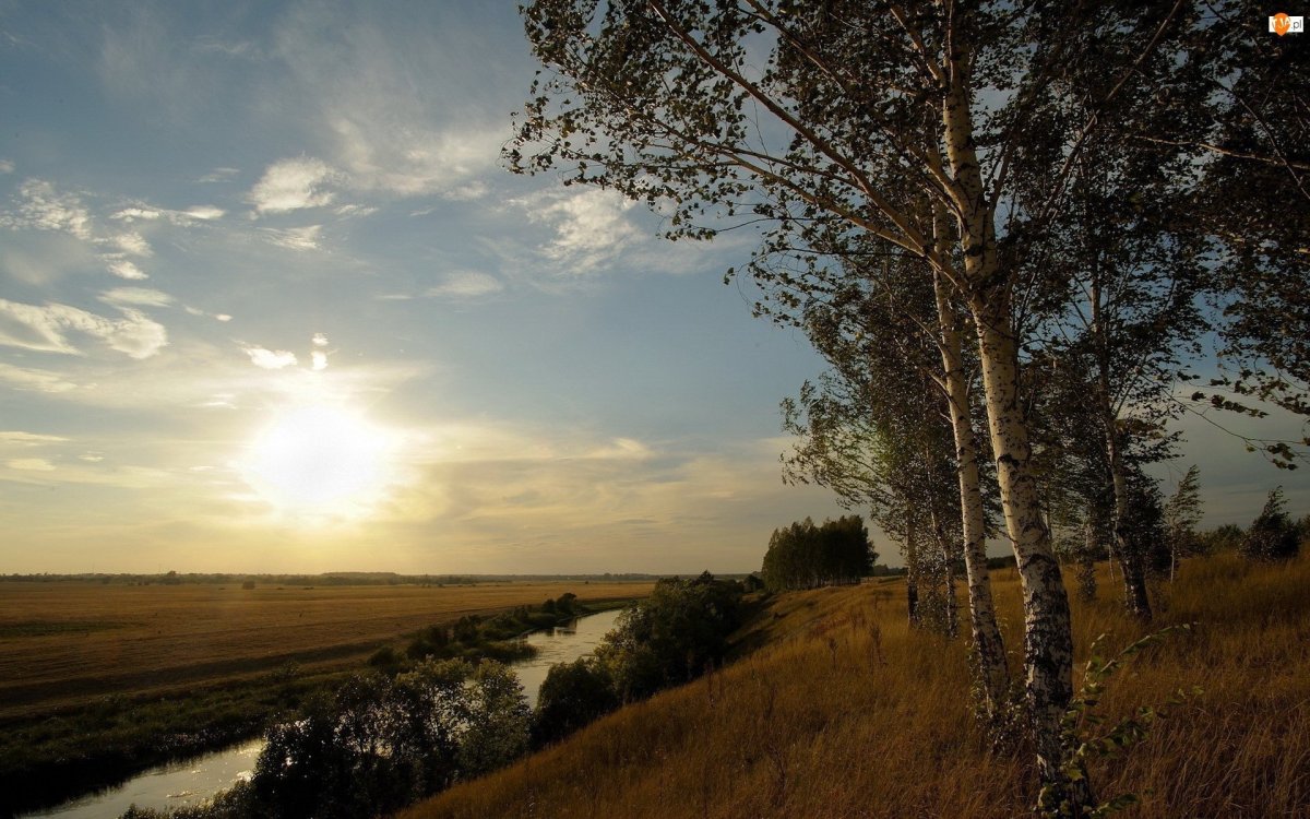 Поле Березки Церковь Полоцк