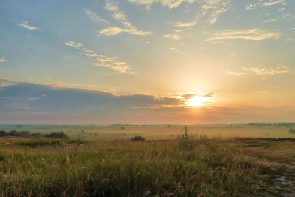 Утро в степи