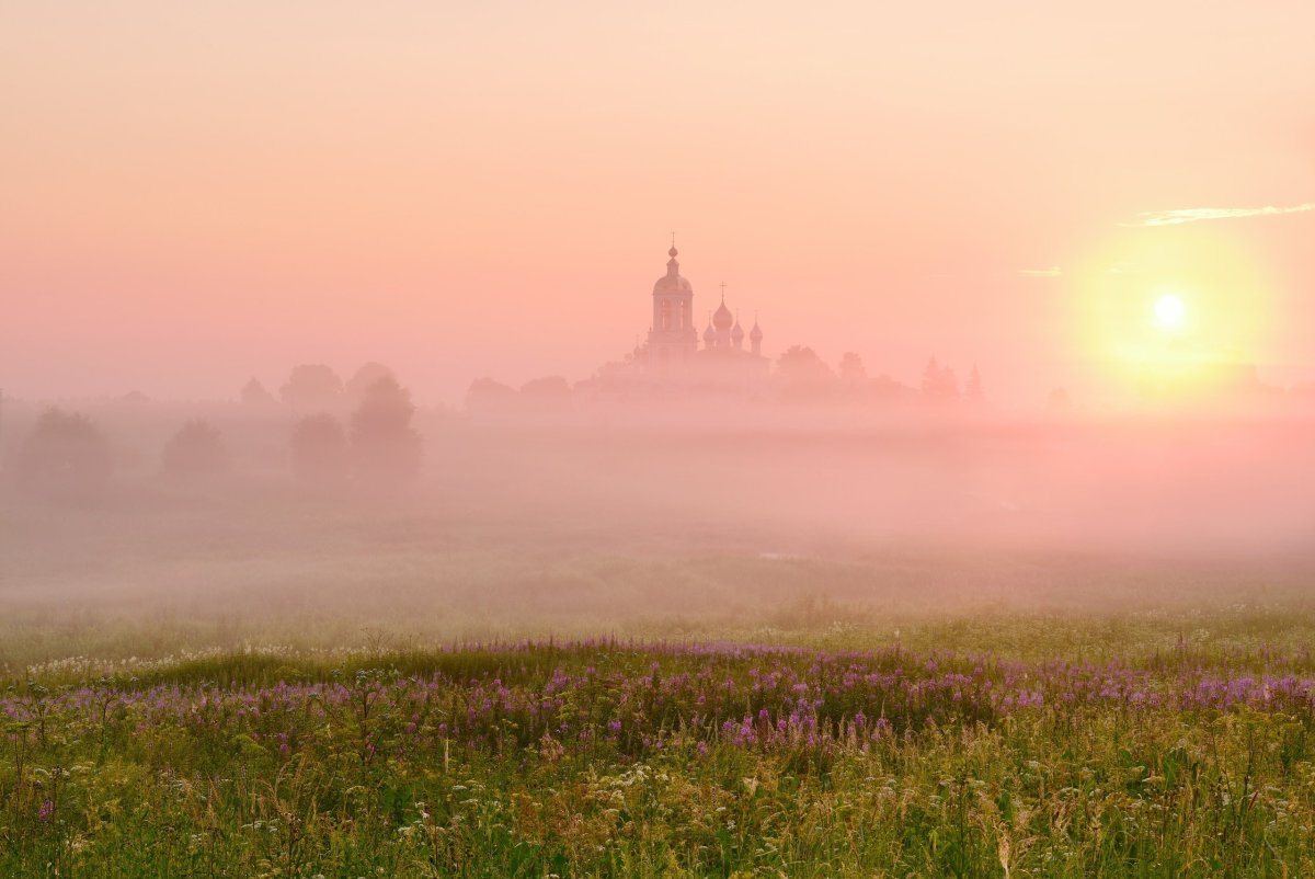 Нежный рассвет