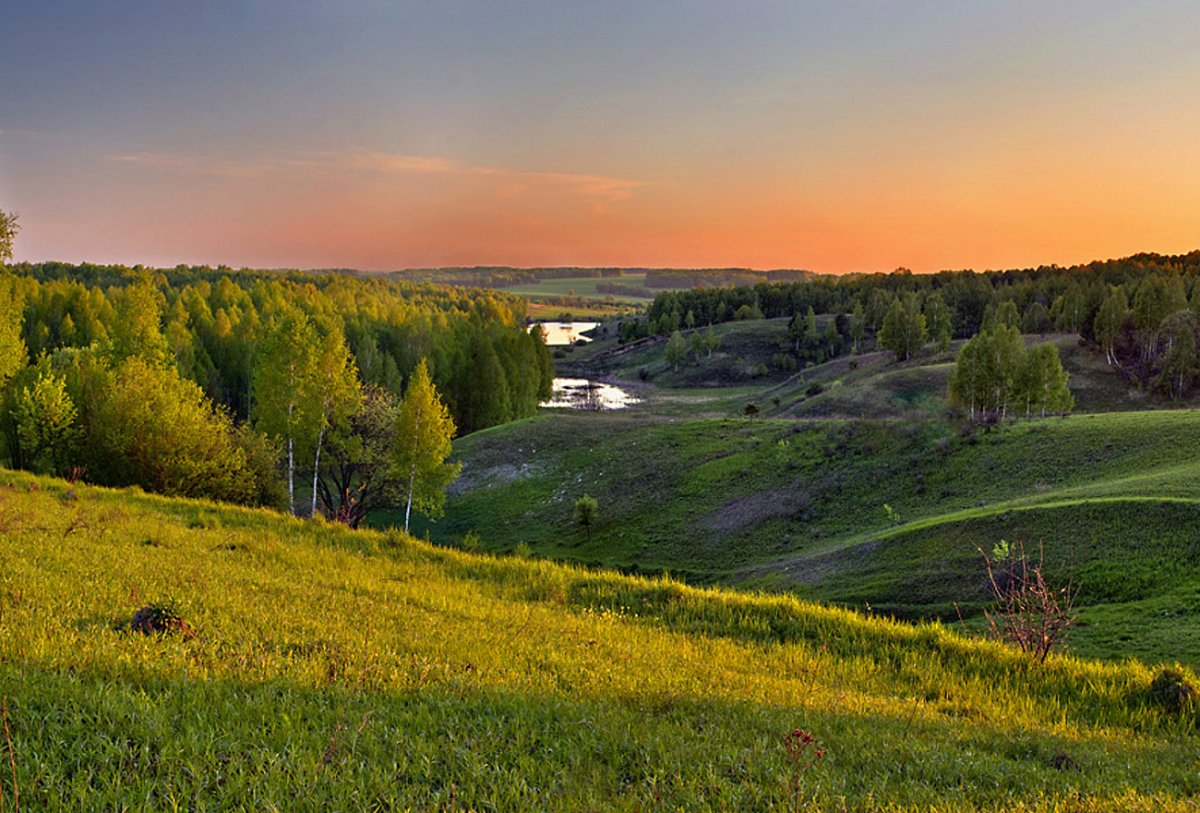 Просторы родного края Липецк