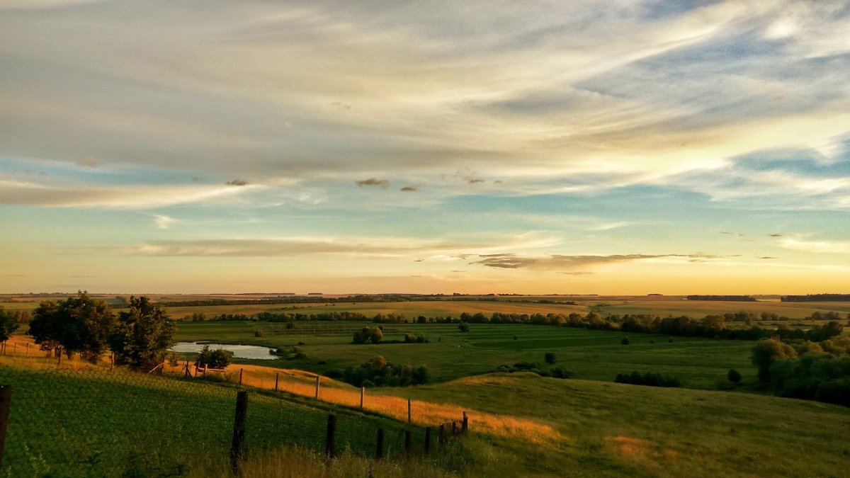 Деревенские просторы село Реткино