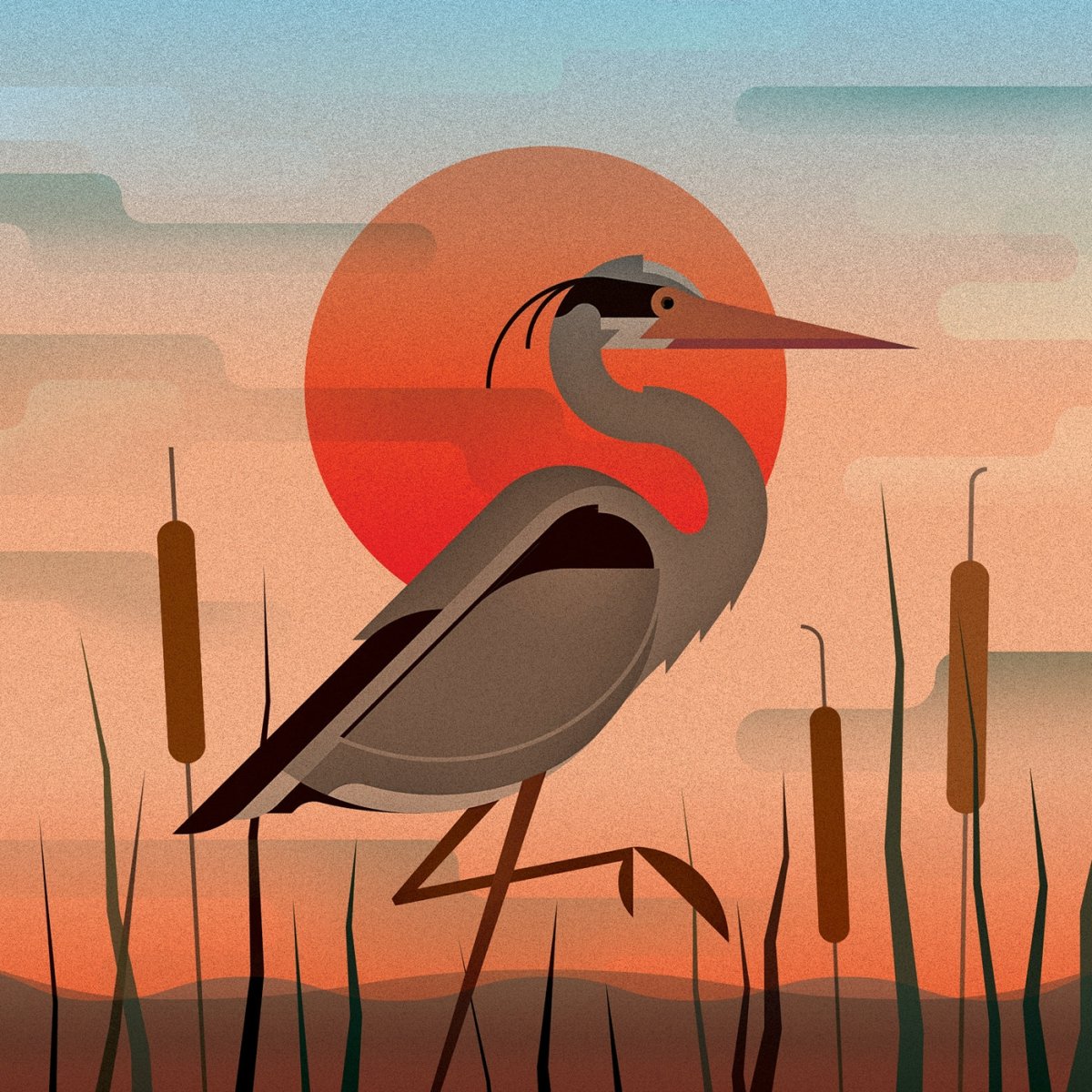 Колено Цапли