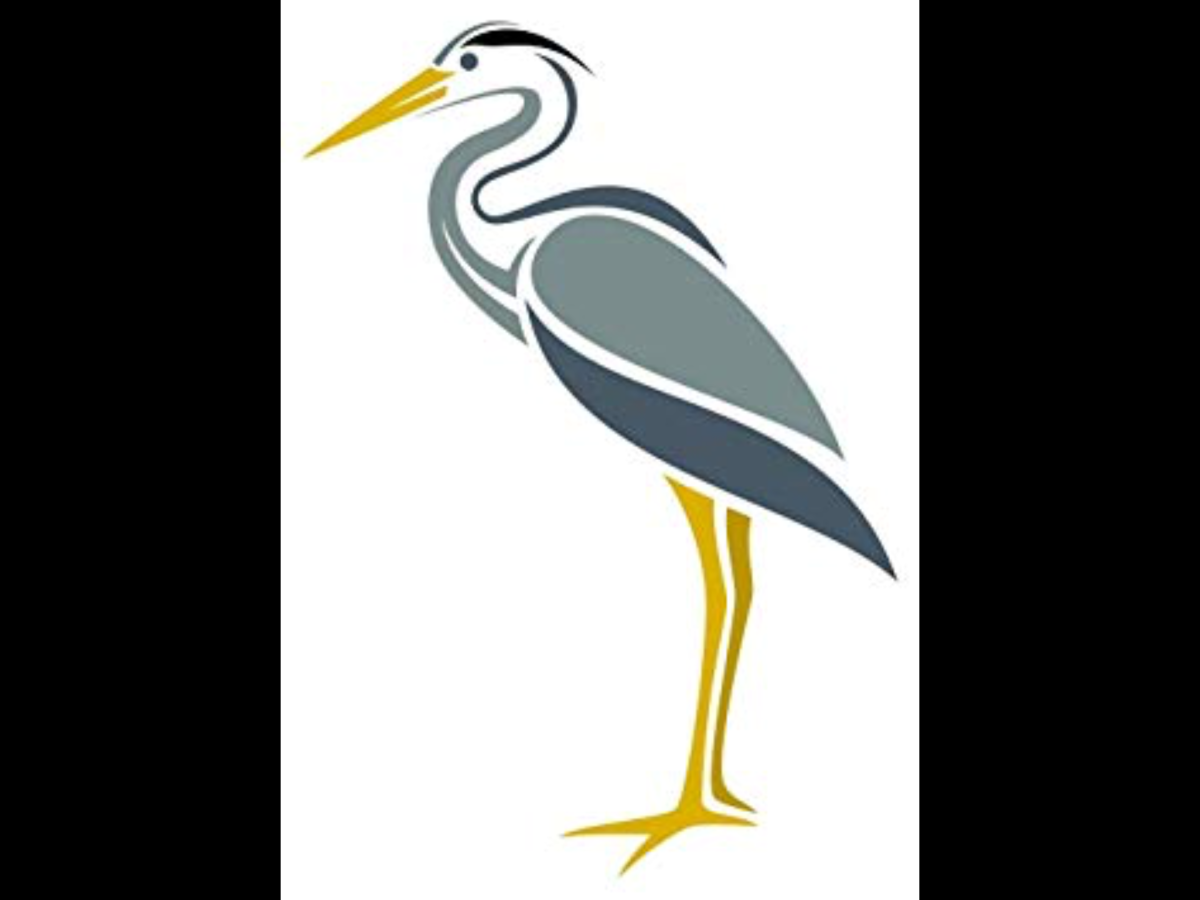 Серая цапля Перелетная птица