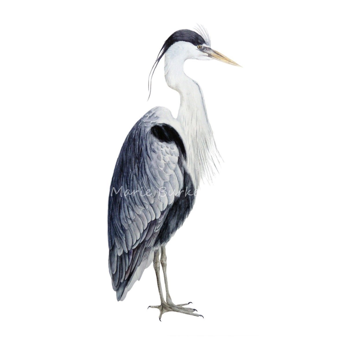 Журавль мультяшный