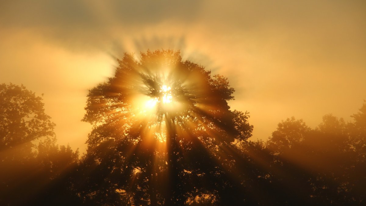 Лучи солнца