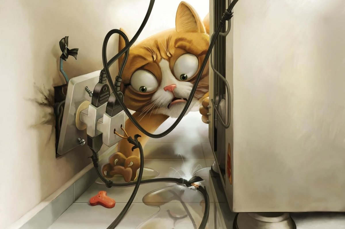 Корова сзади