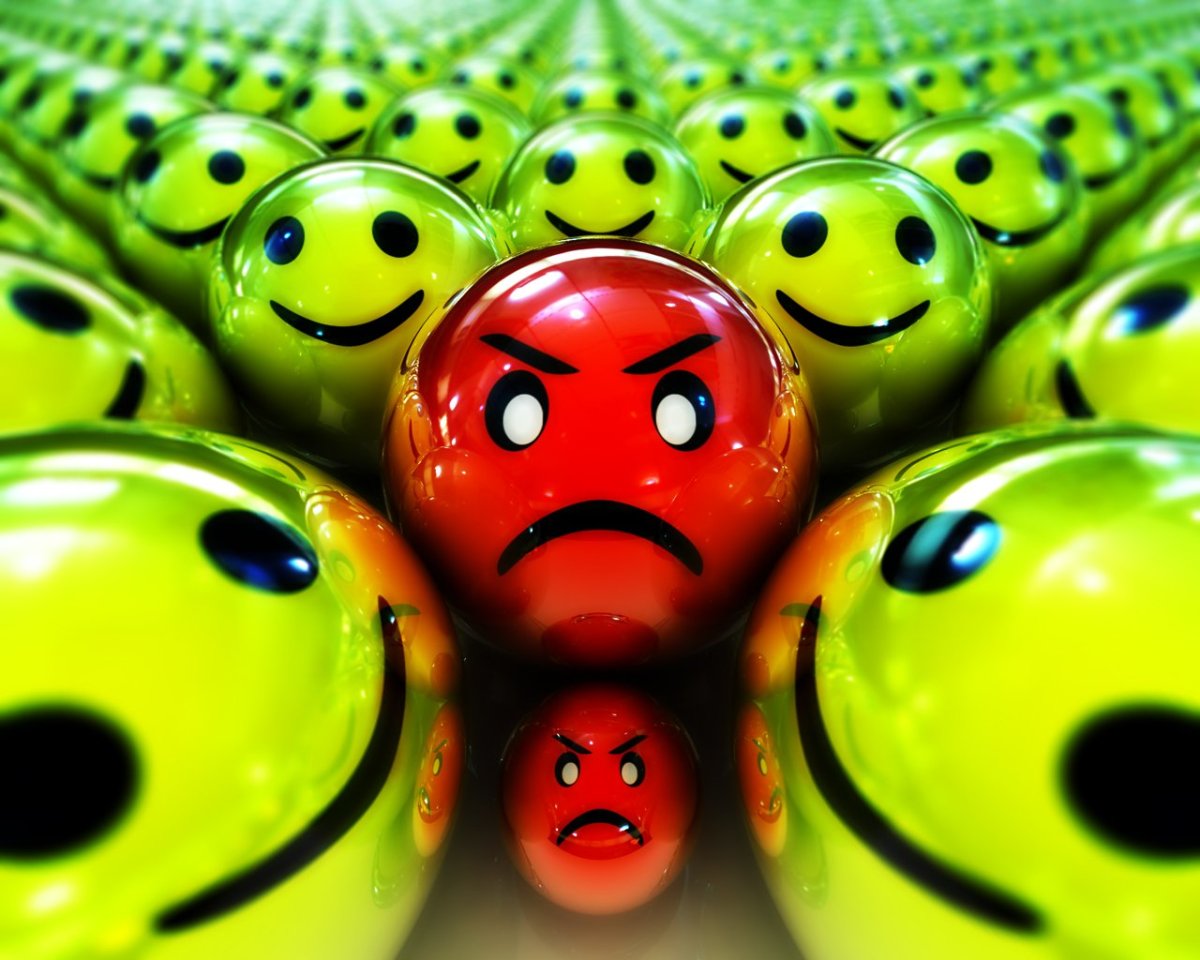 Креативный кот