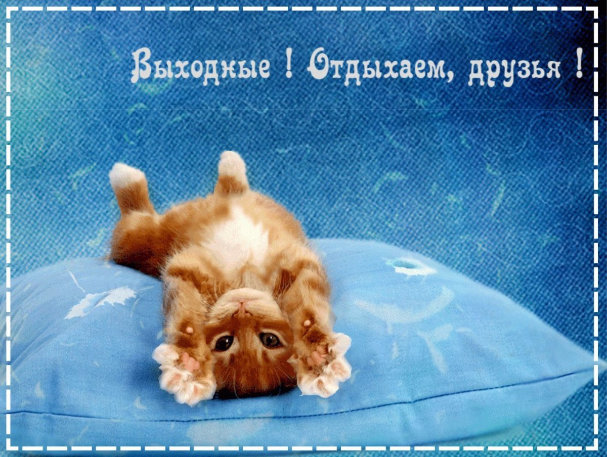 Сказочных выходных