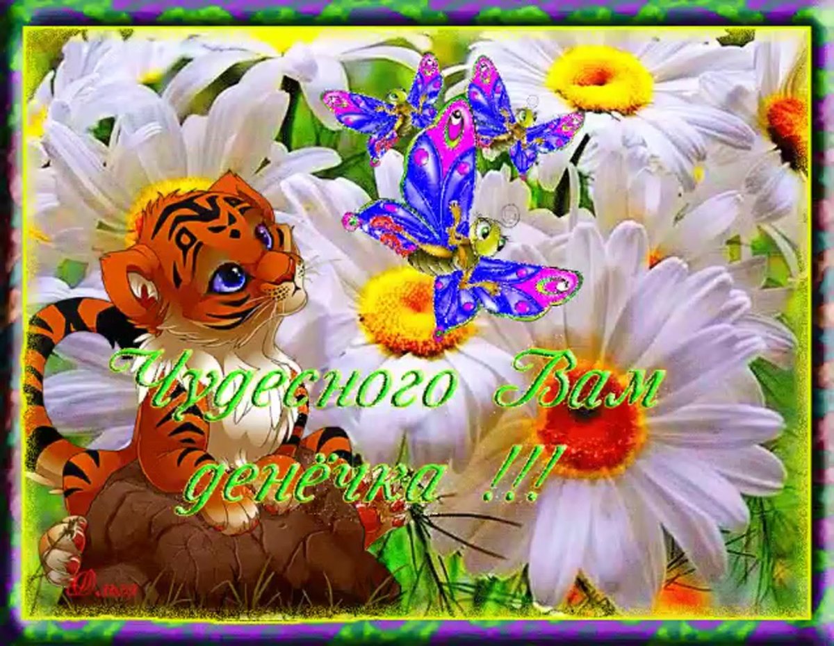 Отличного денечка и прекрасного настроения