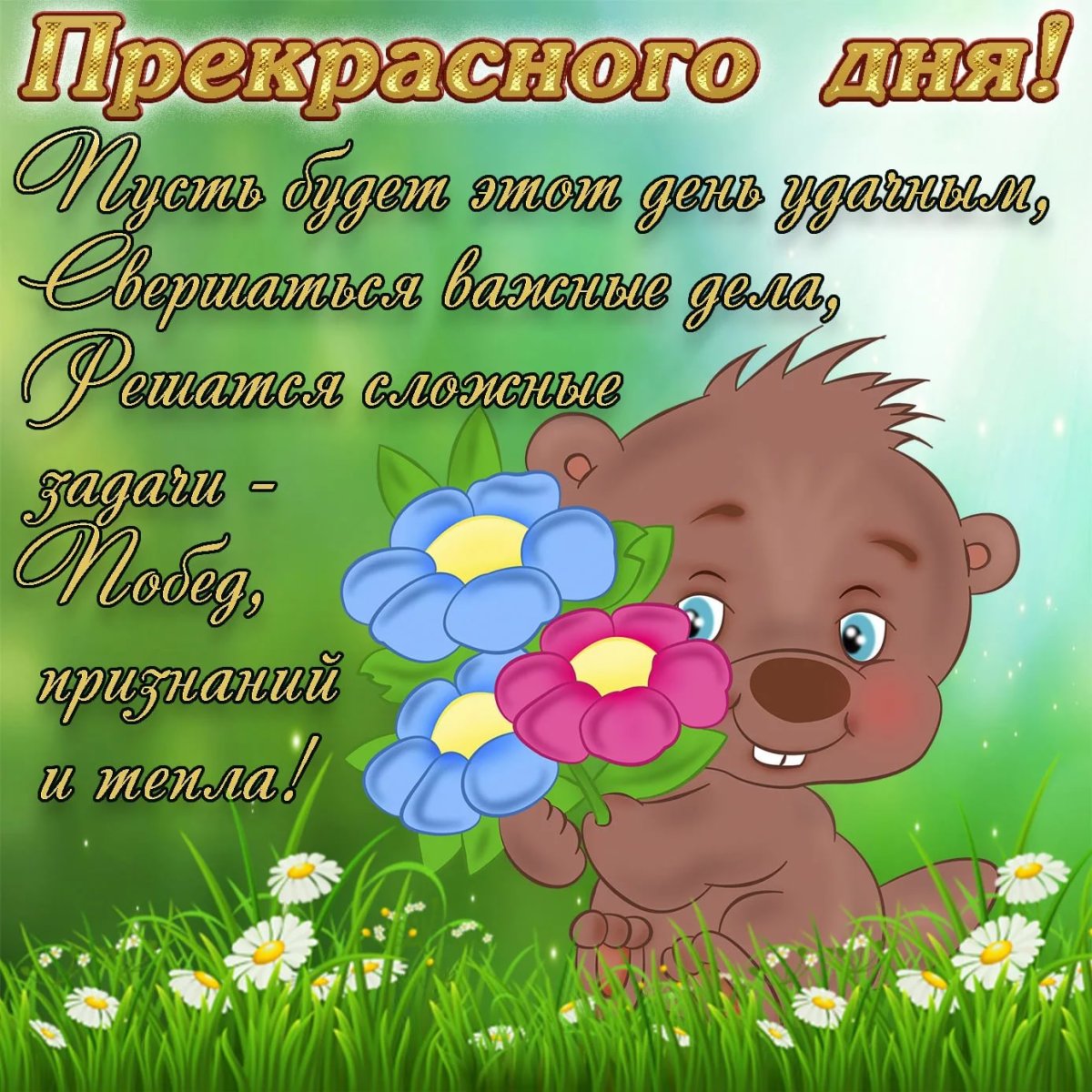 Поздравление с хорошим днем