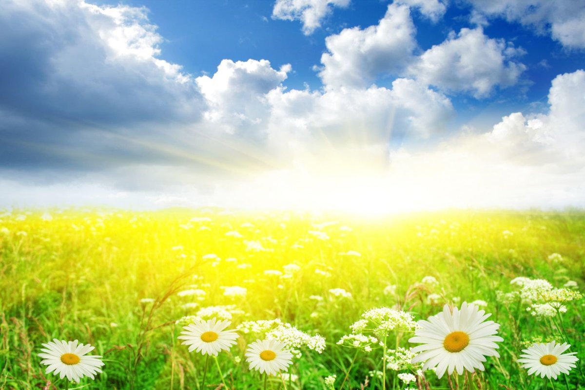 Природа солнце