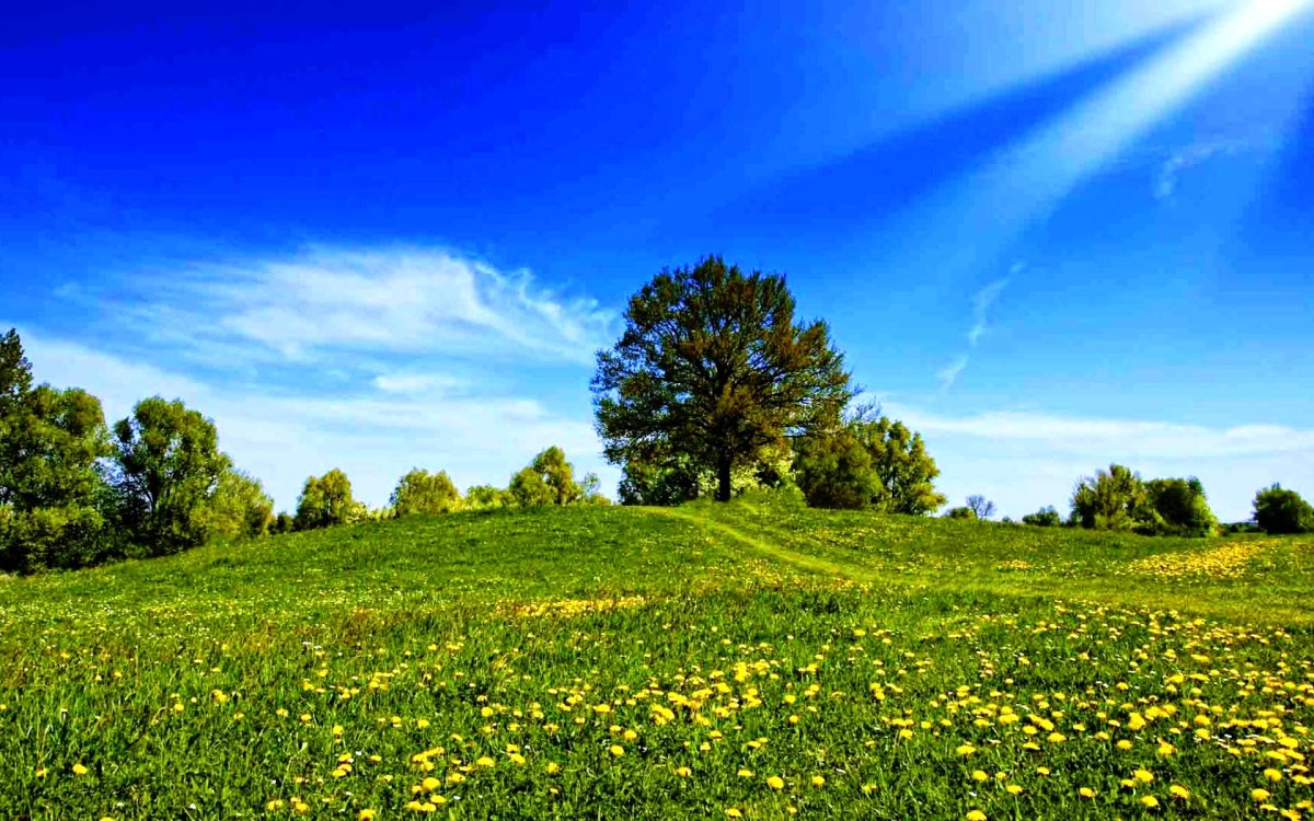 Солнечный день