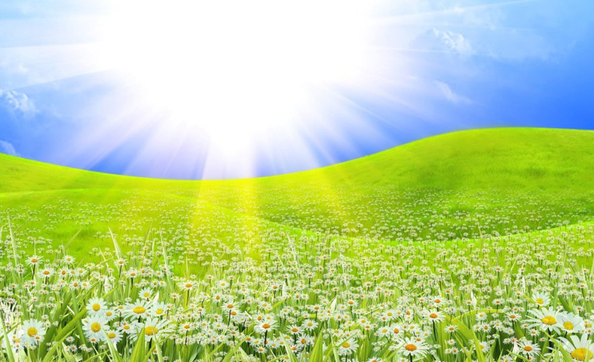 Летний фон с солнечным лучом