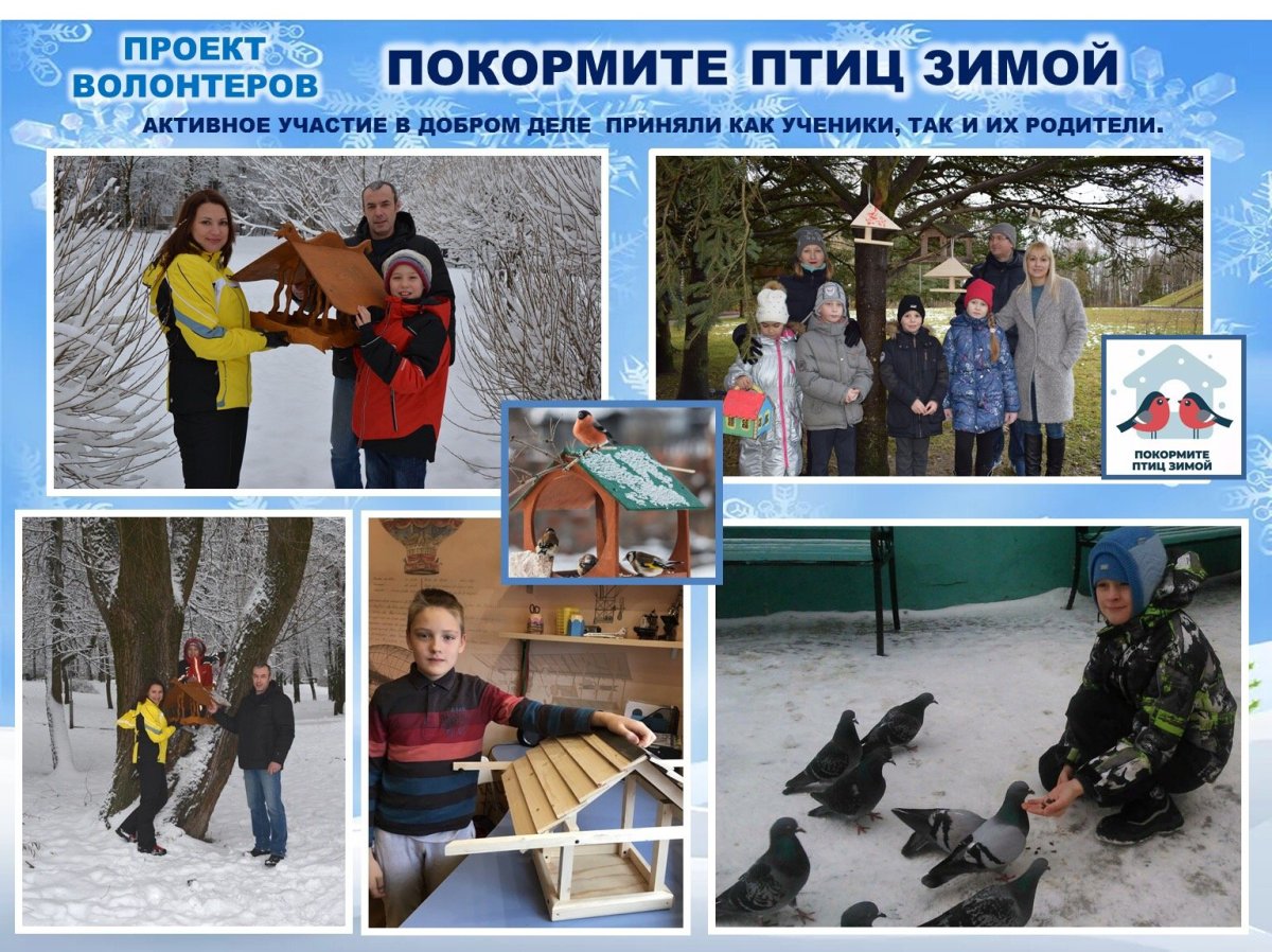 Название зимующих птиц на Урале