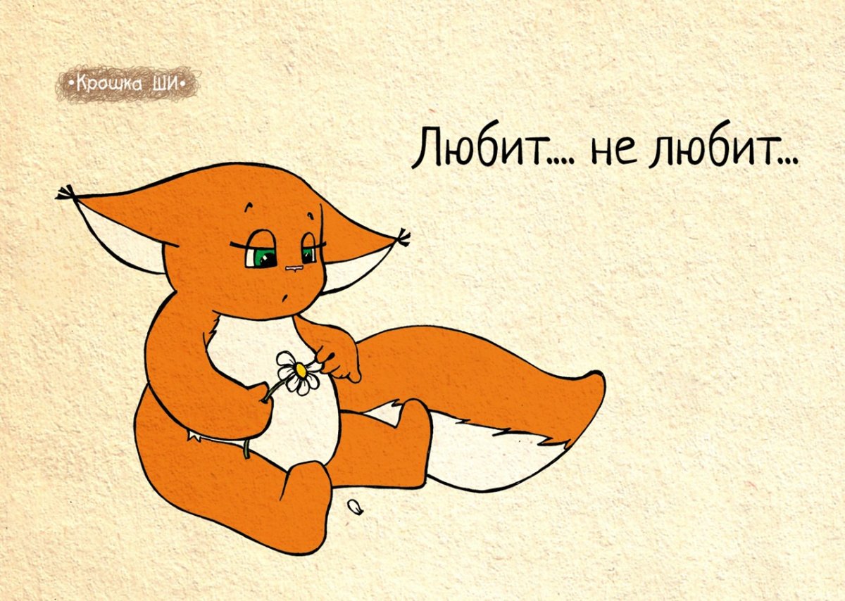 Лисичка крошка ши