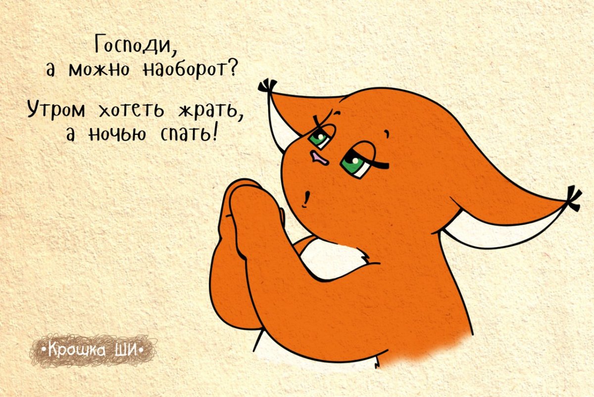 Крошка ши выздоравливай