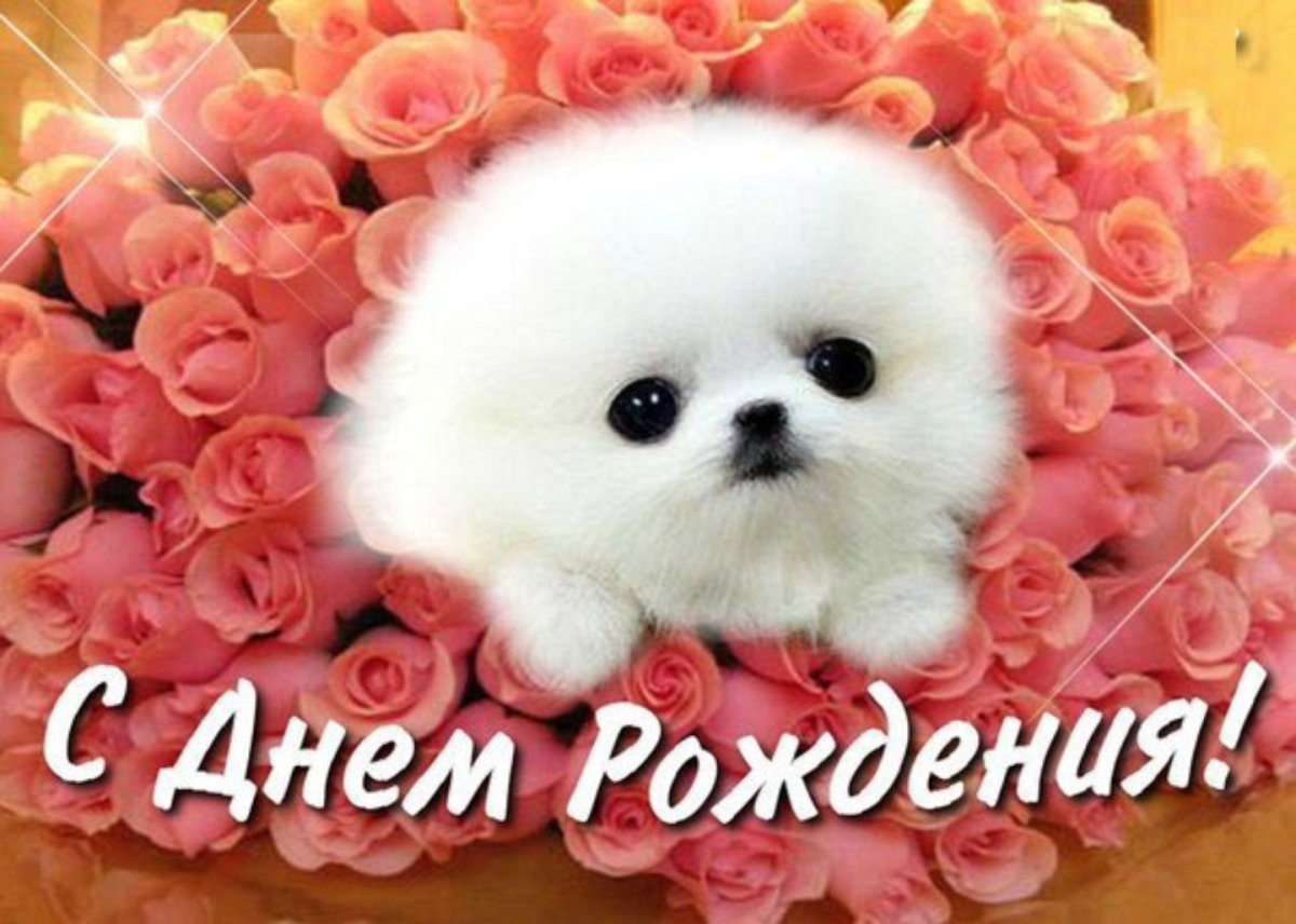 Поздравляю тебя с днём рождения