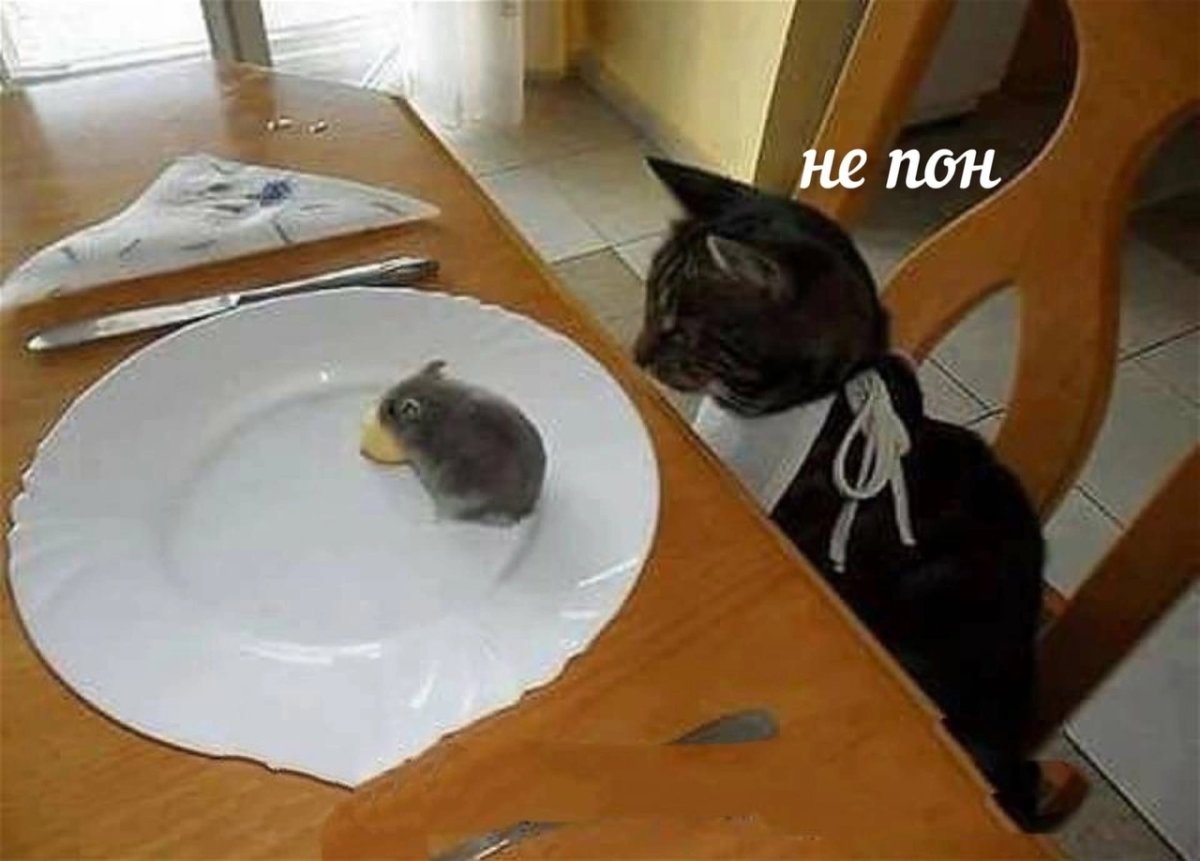 Обед пора кушать