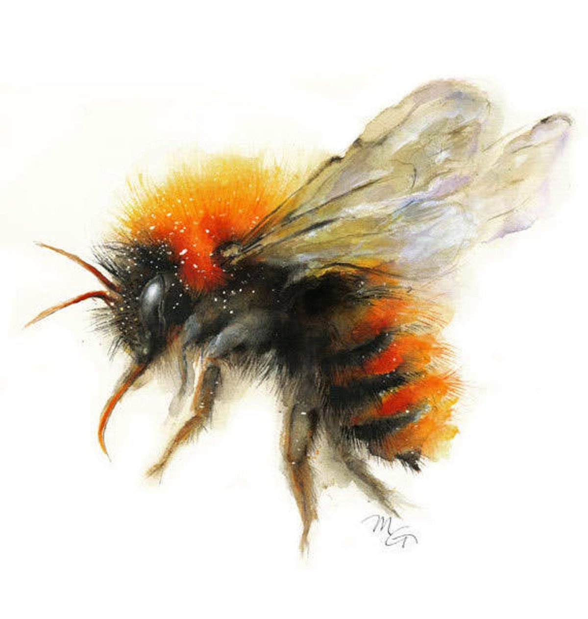 Шмель для детей