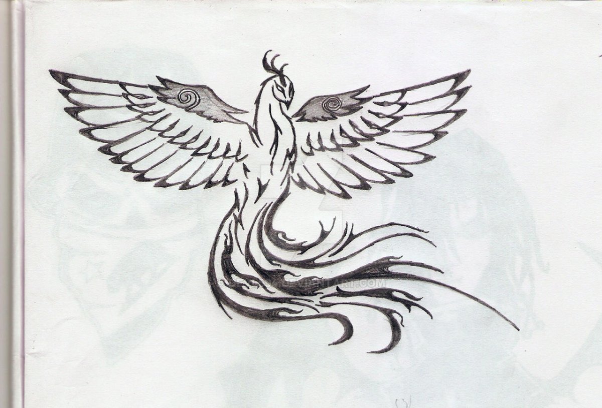 Птица счастья рисунок карандашом