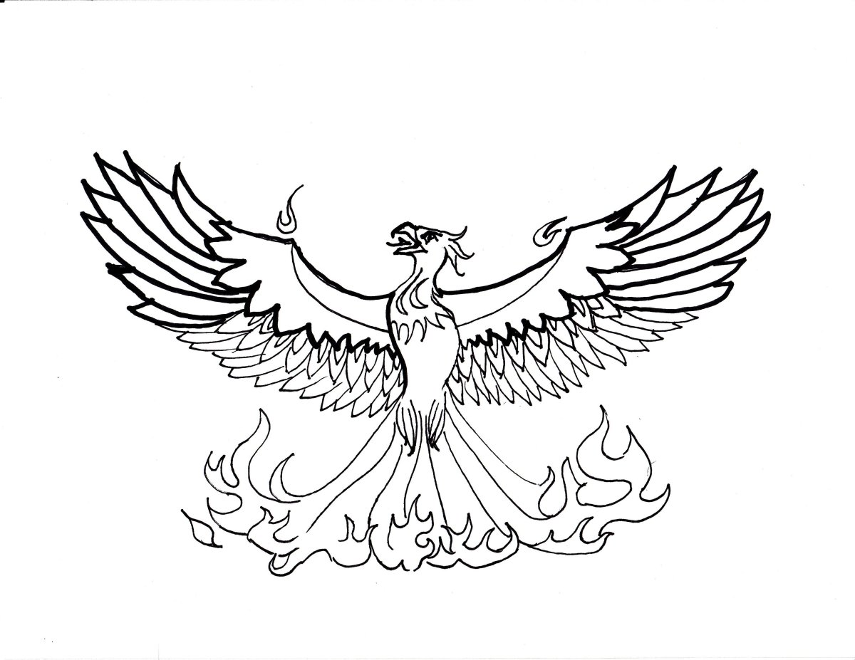 Феникс рисунок карандашом для начинающих