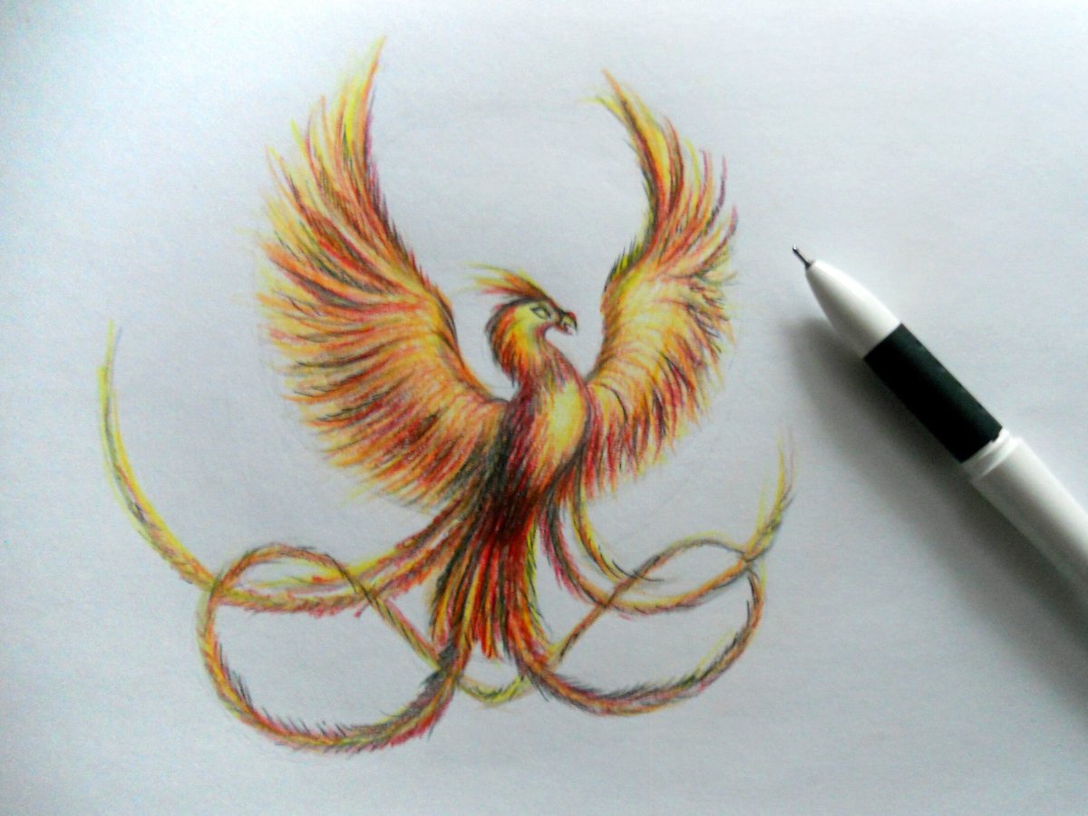 Феникс рисунок красками