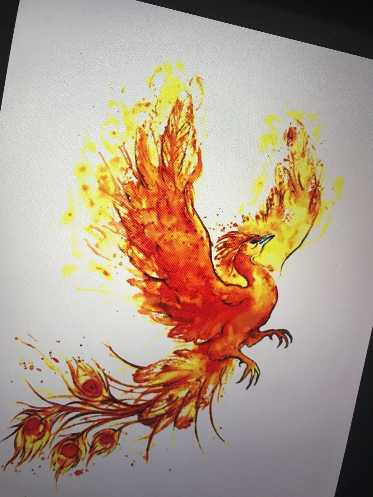 Феникс карандашом для срисовки