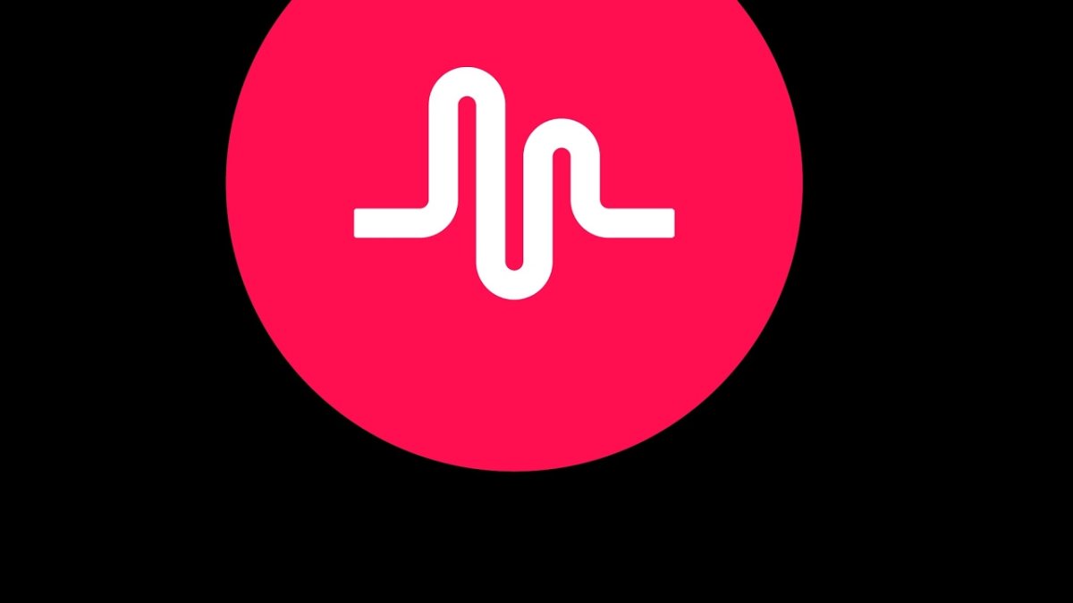 Попсокет Musical