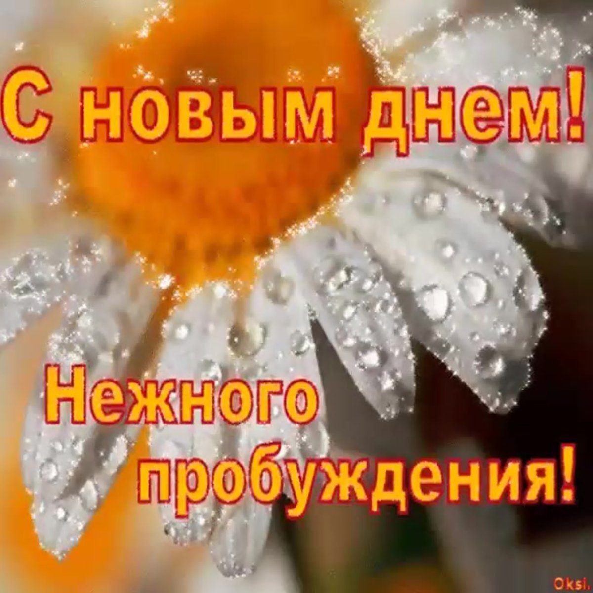 С новым днем